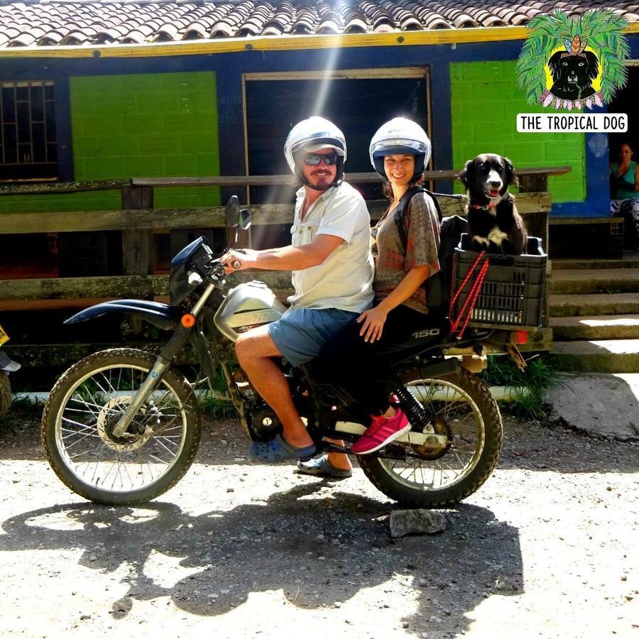 Casa Finca Tipica The Lake Hotel Guatapé エクステリア 写真